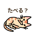 3ひきのこねこ（個別スタンプ：1）