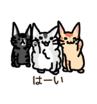 3ひきのこねこ（個別スタンプ：4）