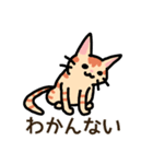 3ひきのこねこ（個別スタンプ：5）