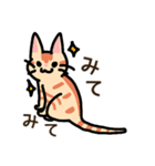 3ひきのこねこ（個別スタンプ：17）