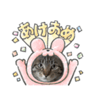 レオリキ（個別スタンプ：5）