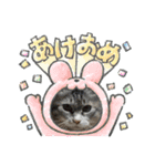 レオリキ（個別スタンプ：6）
