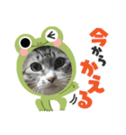 レオリキ（個別スタンプ：8）