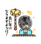 レオリキ（個別スタンプ：13）