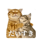 ねこもふファミリー（個別スタンプ：6）