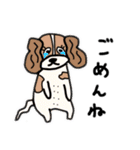 日常的に伝えるわんこスタンプ（個別スタンプ：2）