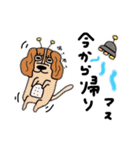 日常的に伝えるわんこスタンプ（個別スタンプ：4）