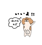 日常的に伝えるわんこスタンプ（個別スタンプ：6）