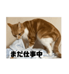 ちくわ大臣4〜新しいお友達もいるよ〜〜（個別スタンプ：3）