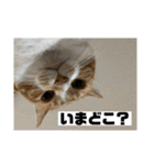 ちくわ大臣4〜新しいお友達もいるよ〜〜（個別スタンプ：5）