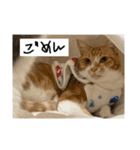 ちくわ大臣4〜新しいお友達もいるよ〜〜（個別スタンプ：7）