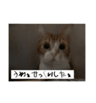 ちくわ大臣4〜新しいお友達もいるよ〜〜（個別スタンプ：8）