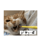 ちくわ大臣4〜新しいお友達もいるよ〜〜（個別スタンプ：9）