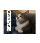 ちくわ大臣4〜新しいお友達もいるよ〜〜（個別スタンプ：10）