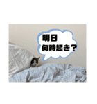 ちくわ大臣4〜新しいお友達もいるよ〜〜（個別スタンプ：11）