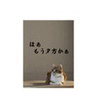 ちくわ大臣4〜新しいお友達もいるよ〜〜（個別スタンプ：12）