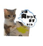 ちくわ大臣4〜新しいお友達もいるよ〜〜（個別スタンプ：15）
