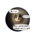 ちくわ大臣4〜新しいお友達もいるよ〜〜（個別スタンプ：20）