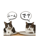ちくわ大臣4〜新しいお友達もいるよ〜〜（個別スタンプ：31）
