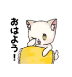 くー＆あんず＆きなこのLINEスタンプ（個別スタンプ：1）