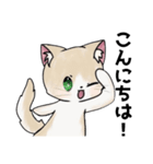 くー＆あんず＆きなこのLINEスタンプ（個別スタンプ：3）