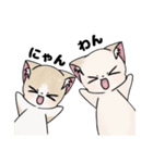 くー＆あんず＆きなこのLINEスタンプ（個別スタンプ：12）