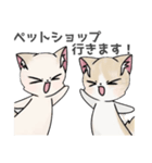くー＆あんず＆きなこのLINEスタンプ（個別スタンプ：20）