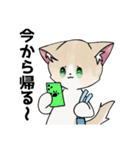 くー＆あんず＆きなこのLINEスタンプ（個別スタンプ：23）