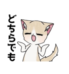 くー＆あんず＆きなこのLINEスタンプ（個別スタンプ：35）