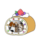 柴犬ーHaku（個別スタンプ：6）