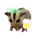 モモんずスタンプ（個別スタンプ：3）