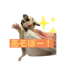 モモんずスタンプ（個別スタンプ：4）