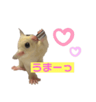 モモんずスタンプ（個別スタンプ：5）