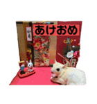 モモんずスタンプ（個別スタンプ：8）