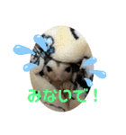 モモんずスタンプ（個別スタンプ：9）