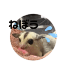 モモんずスタンプ（個別スタンプ：17）