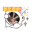 モモんずスタンプ（個別スタンプ：19）