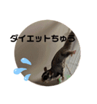 モモんずスタンプ（個別スタンプ：20）