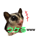 モモんずスタンプ（個別スタンプ：23）