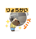 モモんずスタンプ（個別スタンプ：24）