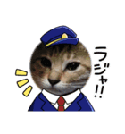 家のわんにゃん（個別スタンプ：6）