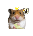 北の山に住むてんちゃん（個別スタンプ：3）