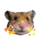 北の山に住むてんちゃん（個別スタンプ：6）