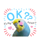麦ちゃんと時々仲間たち♪2（個別スタンプ：1）