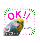麦ちゃんと時々仲間たち♪2（個別スタンプ：2）