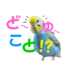 麦ちゃんと時々仲間たち♪2（個別スタンプ：5）