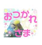 麦ちゃんと時々仲間たち♪2（個別スタンプ：6）