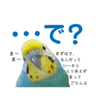 麦ちゃんと時々仲間たち♪2（個別スタンプ：8）