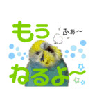 麦ちゃんと時々仲間たち♪2（個別スタンプ：9）