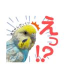 麦ちゃんと時々仲間たち♪2（個別スタンプ：11）